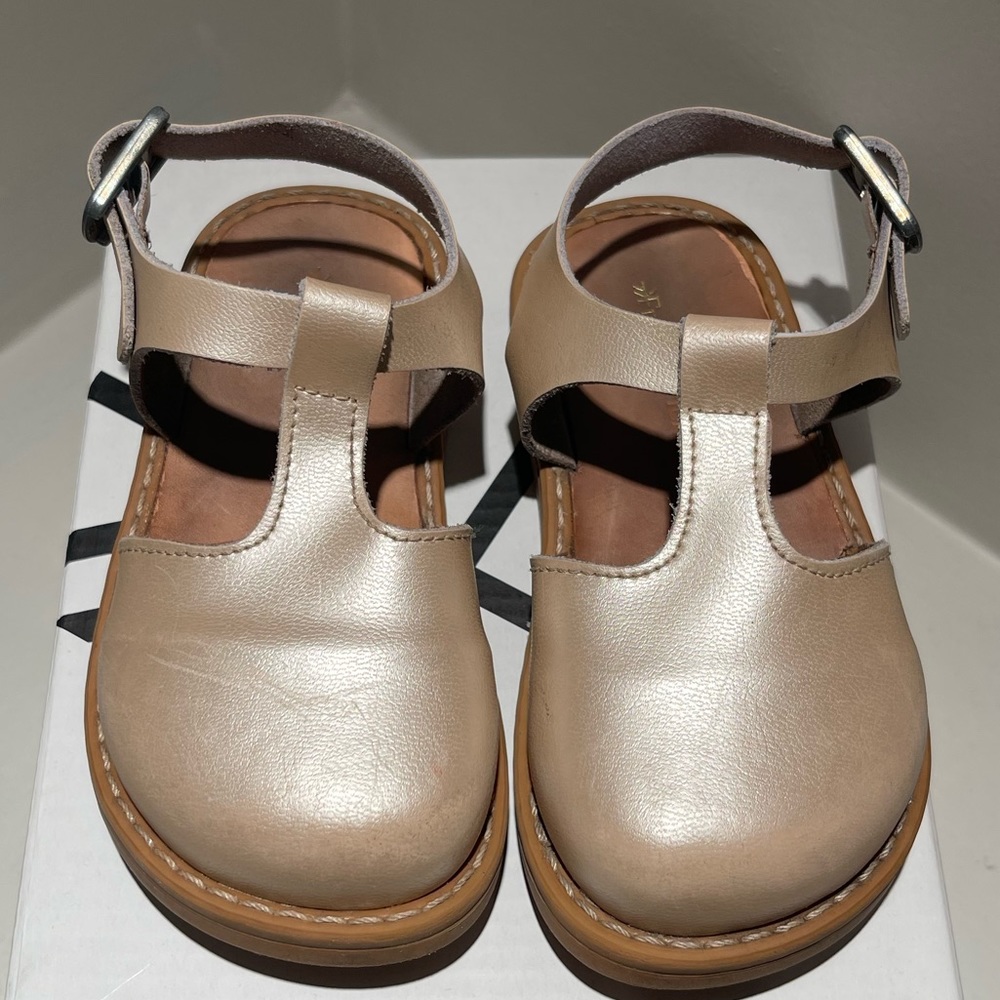 Freshly Picked. Platinum Newport Clog. Size 6